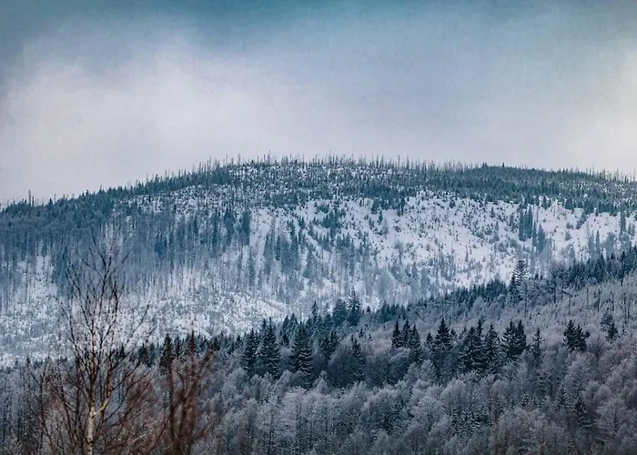 Am Ilztal * Hutthurm